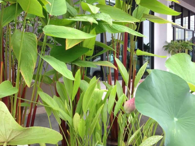 Bird Day Boutique Hotel Mukdahan Kültér fotó