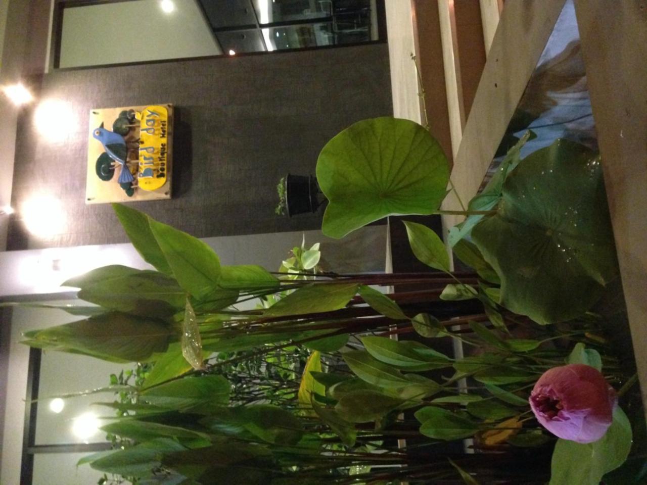Bird Day Boutique Hotel Mukdahan Kültér fotó